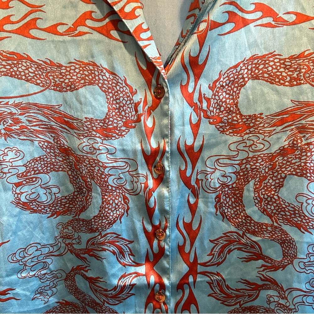 Urban Outfitters Dragon Print Button-Up Shirt | Size Small - Picture 2 of 7
